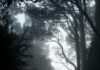 “From” Recap: ‘Of Myths And Monsters’