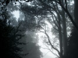 “From” Recap: ‘Of Myths And Monsters’