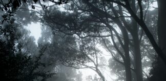 “From” Recap: ‘Of Myths And Monsters’