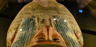 “Lee Cronin’s The Mummy” Is A Spooky Watch