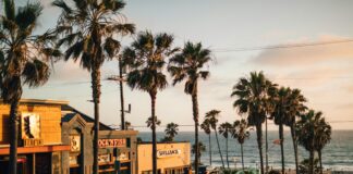 How To Choose The Right Car For Los Angeles And Canyon Country Driving Conditions