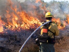 Prescribed Burn For Safety In Santa Monica Mountains