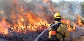 What Canyon Community Residents Need To Know About Wildfire Smoke And Long-Term Lung Health
