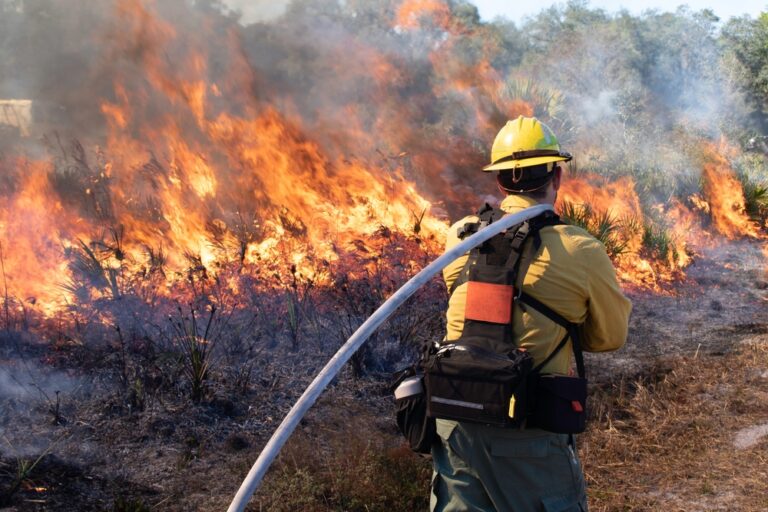 Prescribed Burn For Safety In Santa Monica Mountains