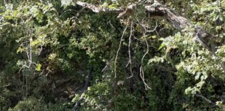 Two People Rescued From Vehicle In Malibu