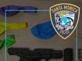 SMPD Confiscate Loaded Handgun