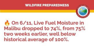 Malibu Announces Risk Of Wildfire Due To Drop In Levels Of Moisture