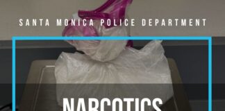 Santa Monica Police Department Makes Narcotics Arrest