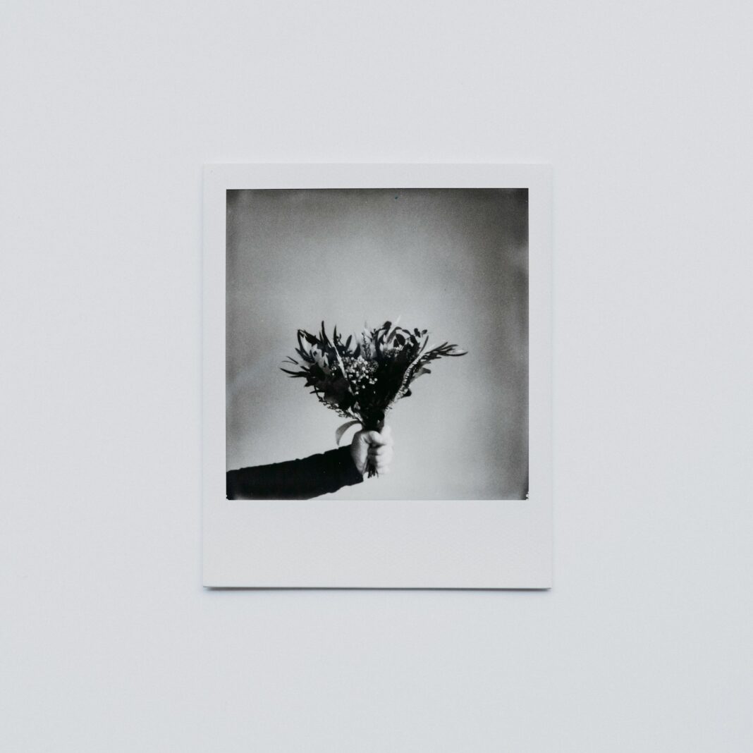 annie-spratt-sXUQpNSWj38-unsplash