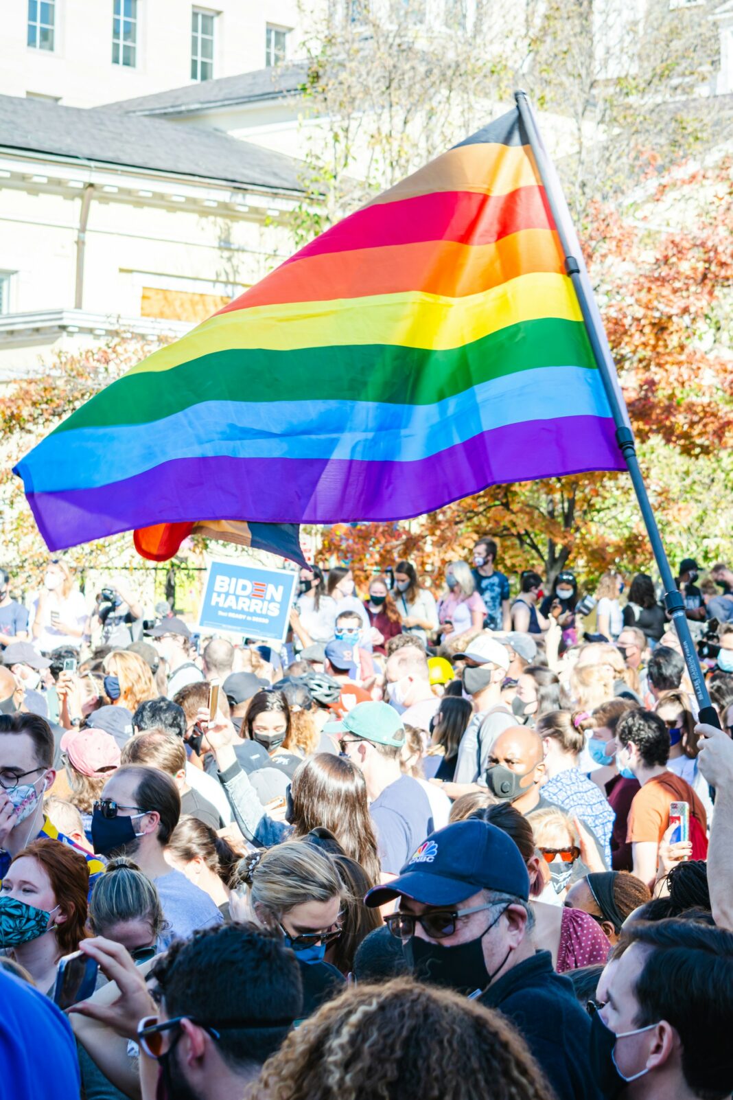 gayatri-malhotra-vZpMXSB3qwU-unsplash