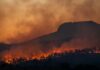 Autry Museum Hosts Free Wildfire Day LA Event