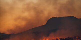 Autry Museum Hosts Free Wildfire Day LA Event