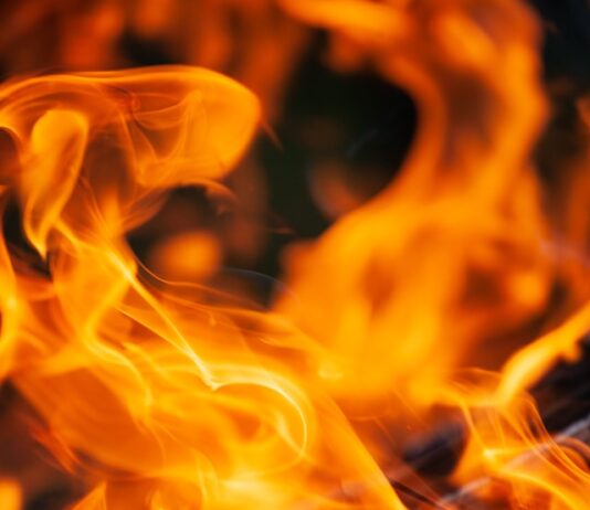 Frontyard Bushes Set Ablaze At Residential Home