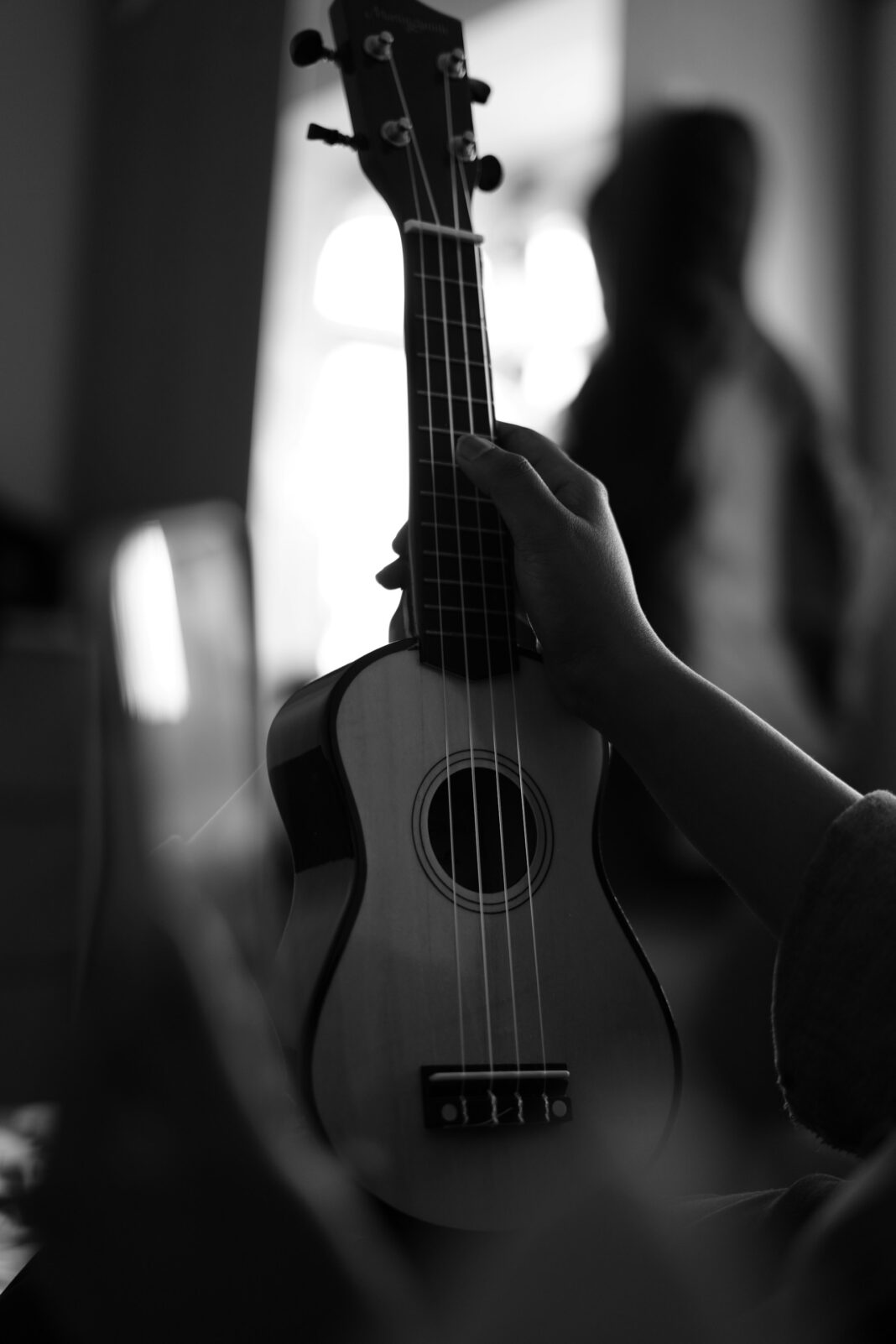 sreejith-kalesh-5MFEadMgZto-unsplash