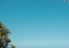 City Of Malibu Weed Abatement Program