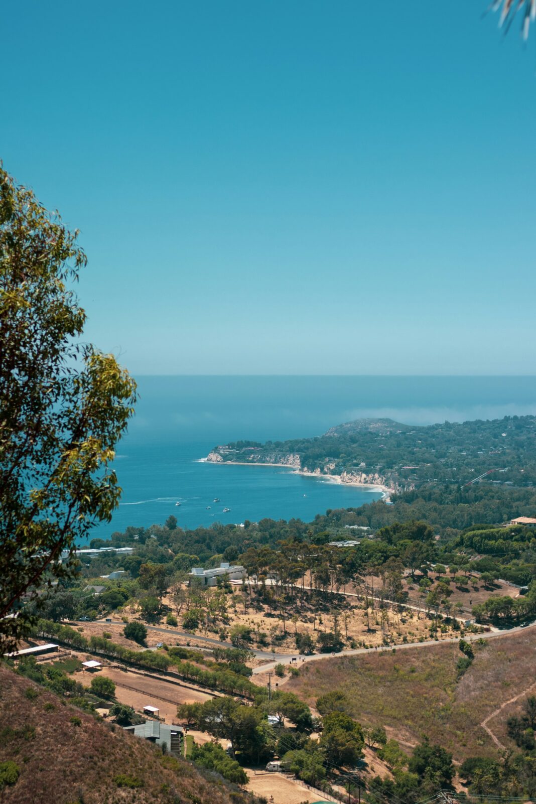 tyrel-johnson-8_Qnuaa4_PA-unsplash