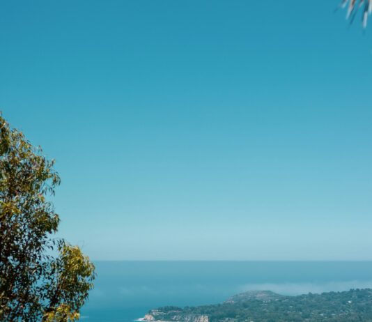 City Of Malibu Weed Abatement Program