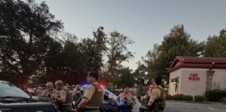 Traffic Stop Leads To Arrest Of Grand Theft Suspect