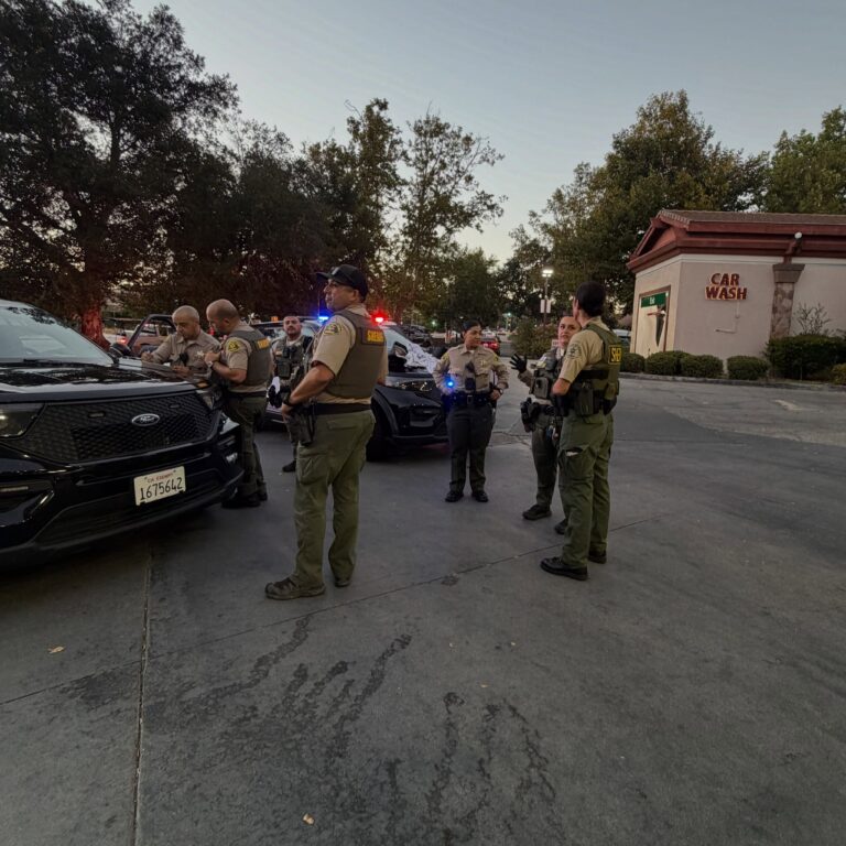 Traffic Stop Leads To Arrest Of Grand Theft Suspect