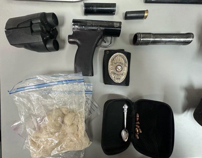 Malibu/Lost Hills Sheriff’s Station Traffic Stop Yields Arrest