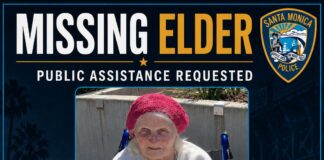 Santa Monica Police Seek Missing Woman Irene Averyanova
