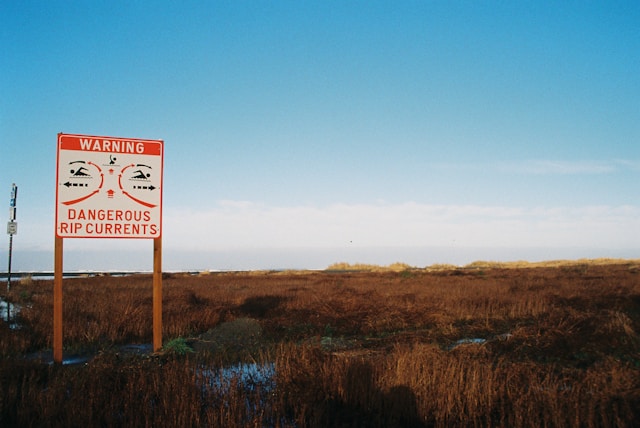 anders-marlowe-oTDSqLdBHDc-unsplash