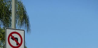Three Fatally Shot Near Hollywood Hills