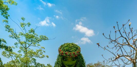 “Moana” Provides Nothing Fresh