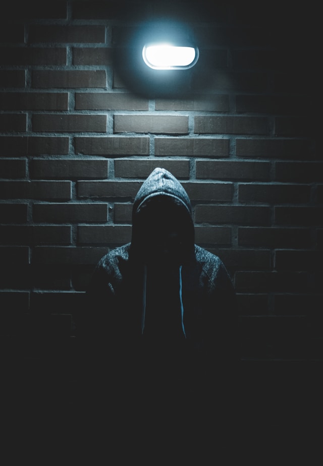 luis-villasmil-S2qA7JhjI6Y-unsplash