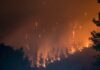 Malibu Discusses Firewise Community
