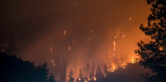Malibu Discusses Firewise Community
