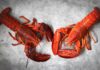 Six Suspects Arrested For Poaching 34 Lobsters On SM Pier