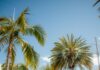Beverly Hills Rent Prices Dropping, While Inland Cities Surge