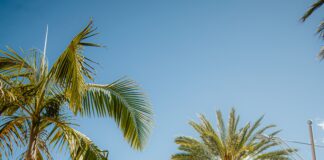 Beverly Hills Rent Prices Dropping, While Inland Cities Surge