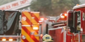 Animal Rescued From Pipe In Los Feliz