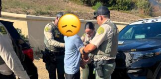 DUI Arrest Made On Pacific Coast Highway