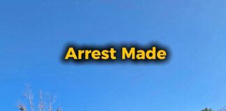 Stolen Vehicle Recovered During Malibu Traffic Stop