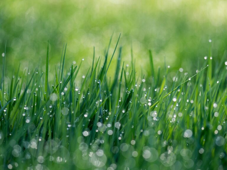 Beverly Hills Pushes Importance Of Sustainability