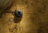 FBI Raids On SOCAL Homes With International Ties