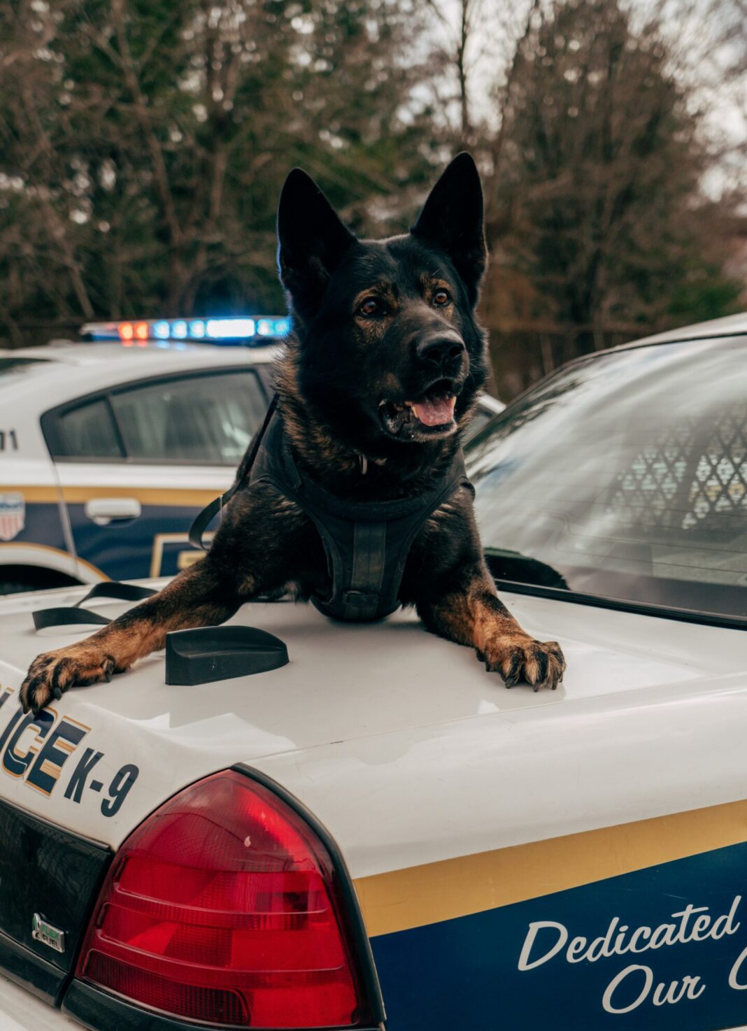 martin-podsiad-M8ZT5NJFX58-unsplash