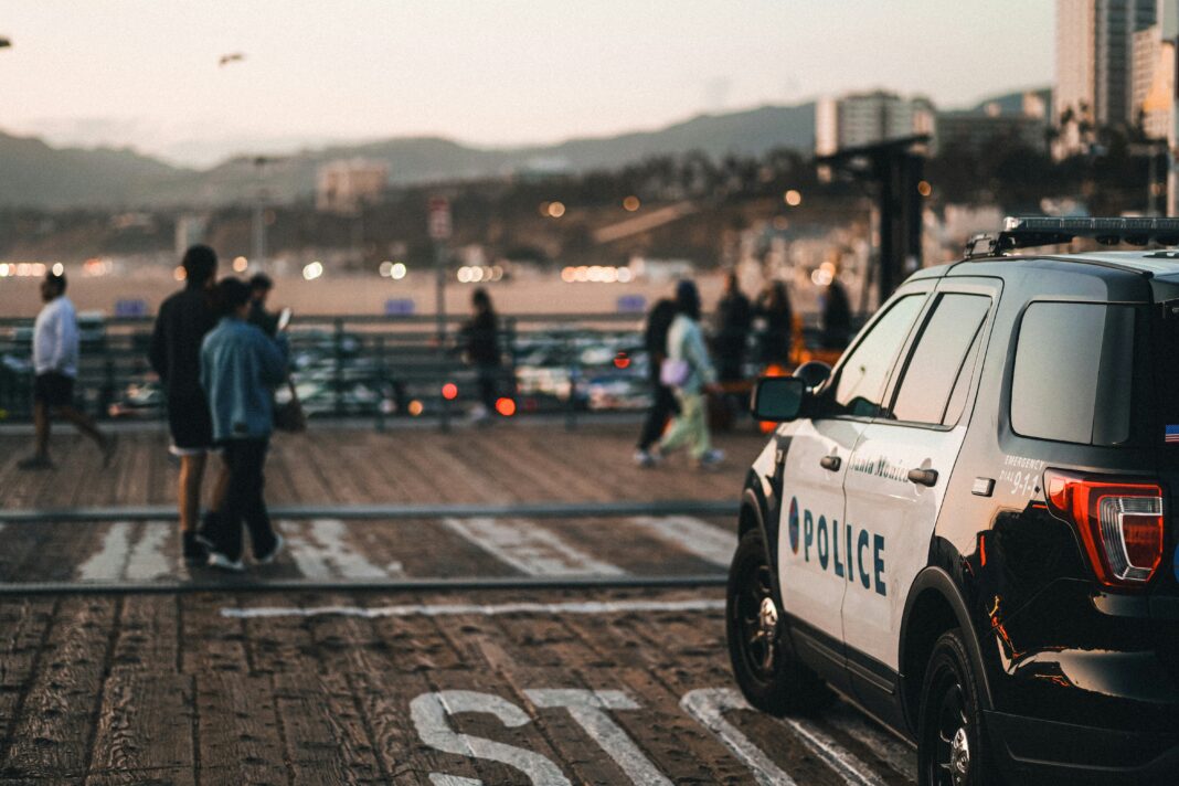 tobias-pfeifer-3Vm6MemSI8U-unsplash (3)