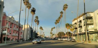 Human Services Grants Program Funding Cycle Opens