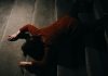 A Closer Look at How Lawyers Handle Slip and Fall Injury Cases in Austin, TX