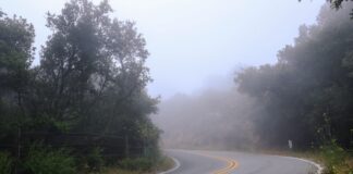 Guardrail Work Closes Topanga Canyon Overnight