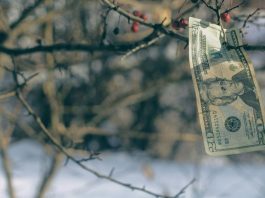 Money Does Not Grow On Trees