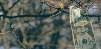 Money Does Not Grow On Trees