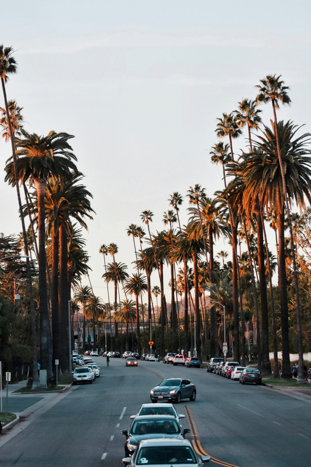 nick-sarvari-nZMsP7TqXQ4-unsplash