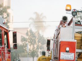 Brush Fire Halted On N. Fern Dell Drive